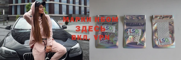 СК Беломорск